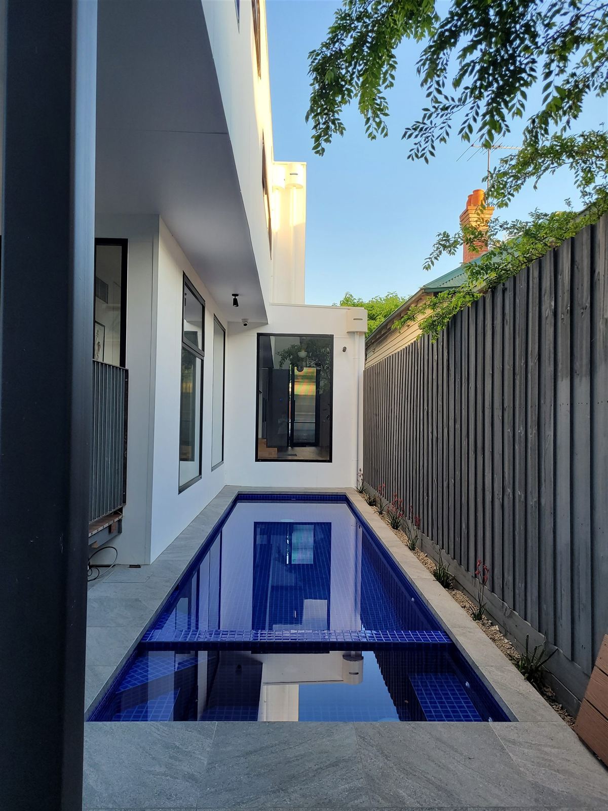 Narrow lap pool along the side of a St Kilda home designed by Mancini Design